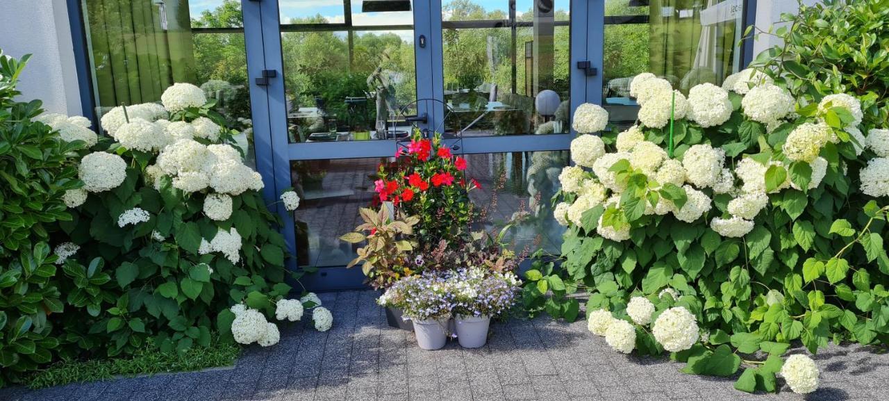 Pensjonat Lysica Wellness & Spa Swieta Katarzyna  Esterno foto